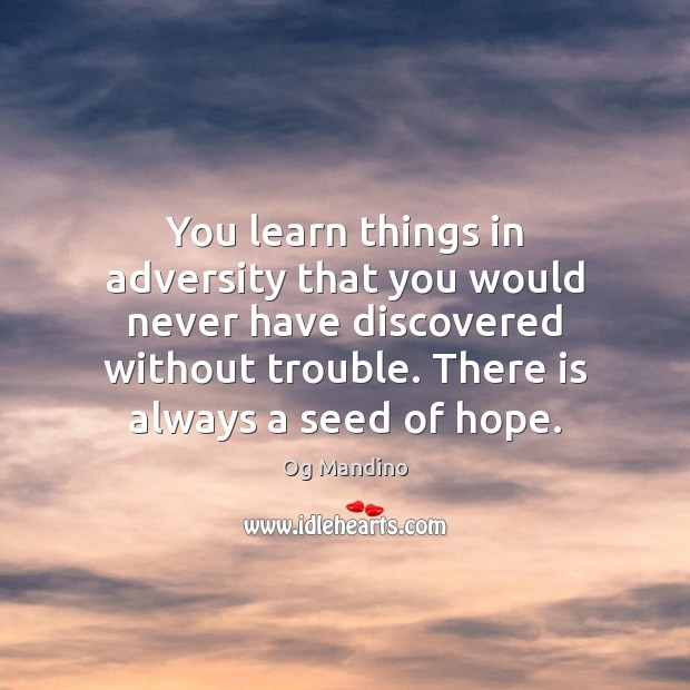 You learn things in adversity that you would never have discovered without Og Mandino Picture Quote