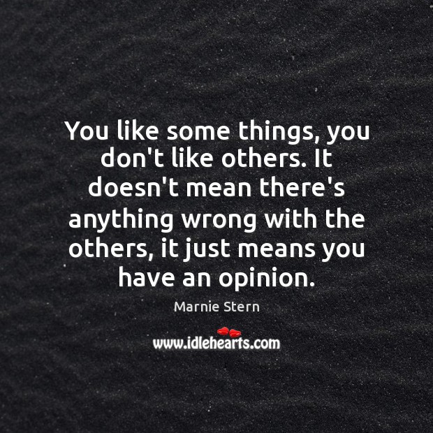You like some things, you don’t like others. It doesn’t mean there’s Marnie Stern Picture Quote