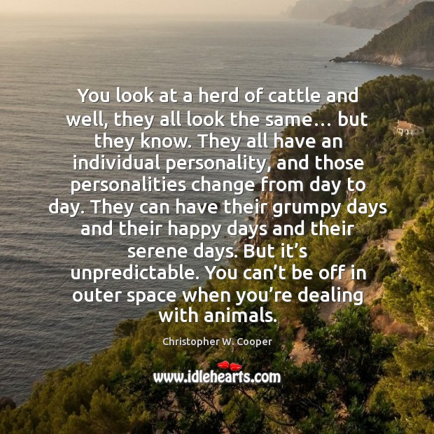 You look at a herd of cattle and well, they all look the same… but they know. Christopher W. Cooper Picture Quote
