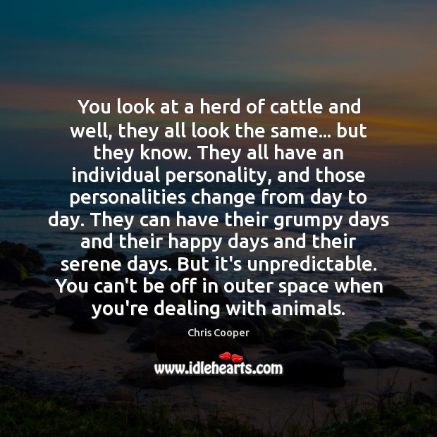 You look at a herd of cattle and well, they all look Chris Cooper Picture Quote