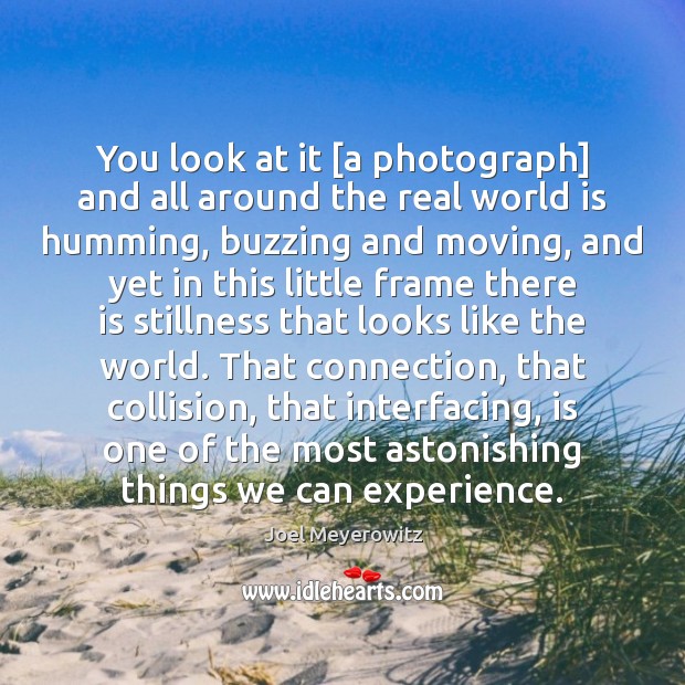 You look at it [a photograph] and all around the real world Joel Meyerowitz Picture Quote