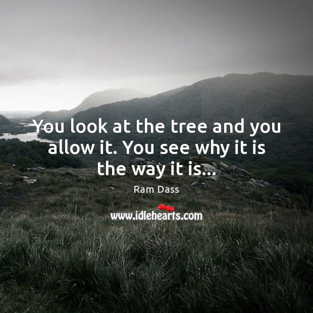 You look at the tree and you allow it. You see why it is the way it is… Ram Dass Picture Quote
