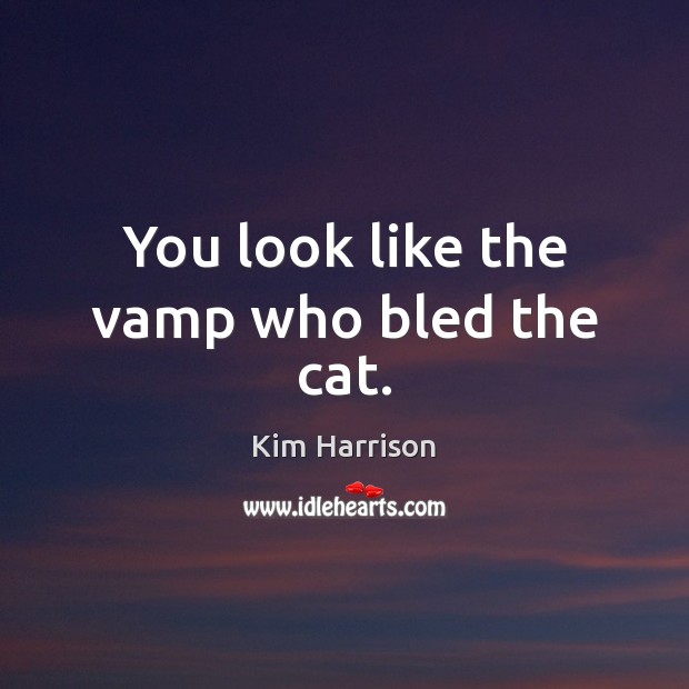 You look like the vamp who bled the cat. Kim Harrison Picture Quote