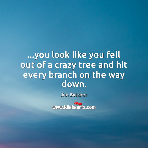…you look like you fell out of a crazy tree and hit every branch on the way down. Jim Butcher Picture Quote