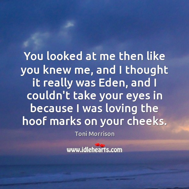 You looked at me then like you knew me, and I thought Toni Morrison Picture Quote