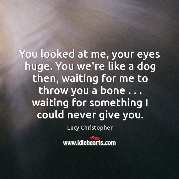 You looked at me, your eyes huge. You we’re like a dog Lucy Christopher Picture Quote