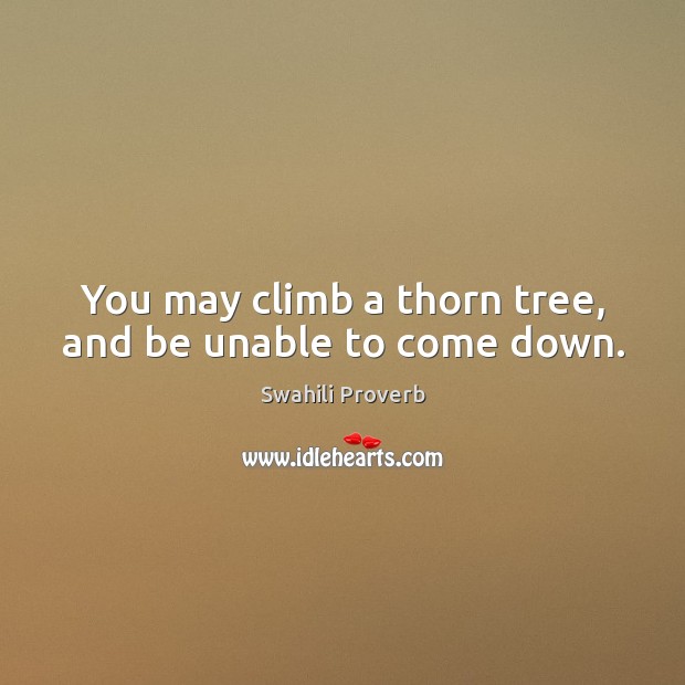 You may climb a thorn tree, and be unable to come down. Image
