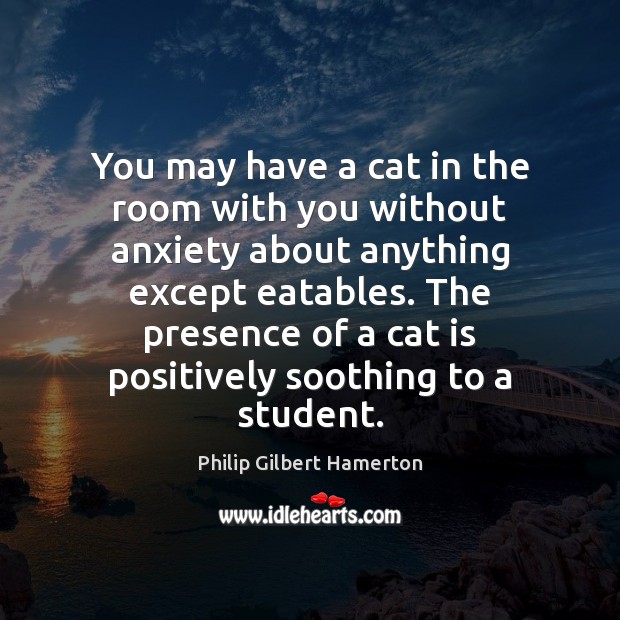 You may have a cat in the room with you without anxiety Image