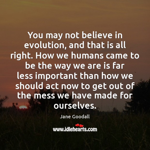 You may not believe in evolution, and that is all right. How Jane Goodall Picture Quote