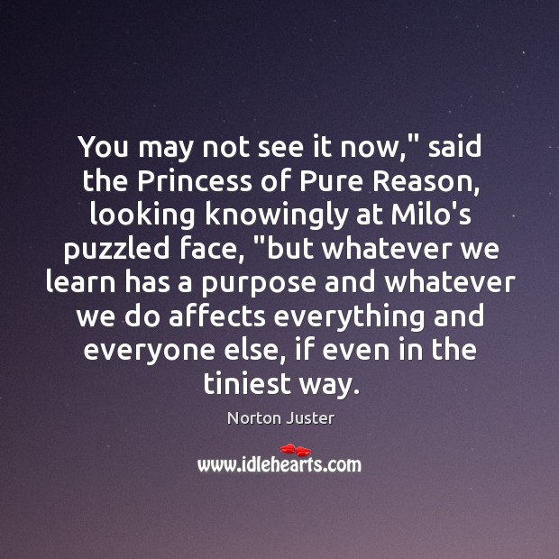You may not see it now,” said the Princess of Pure Reason, Norton Juster Picture Quote