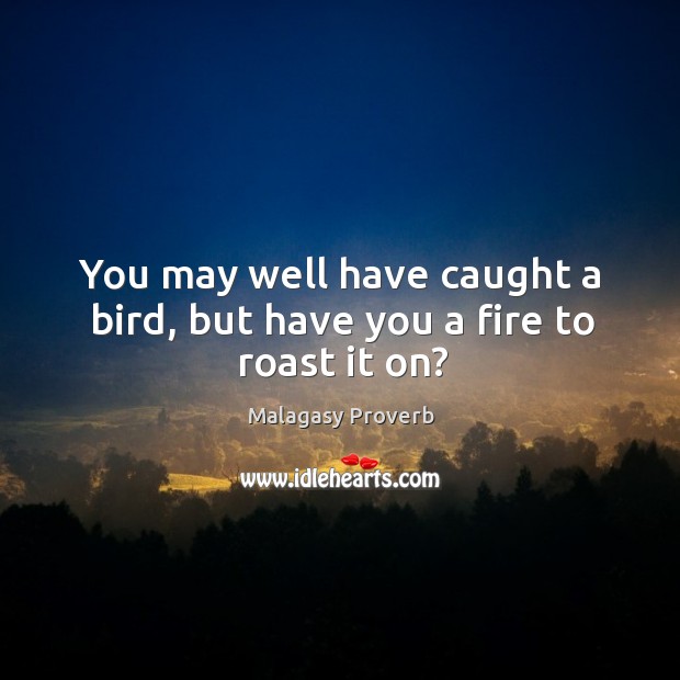 You may well have caught a bird, but have you a fire to roast it on? Malagasy Proverbs Image