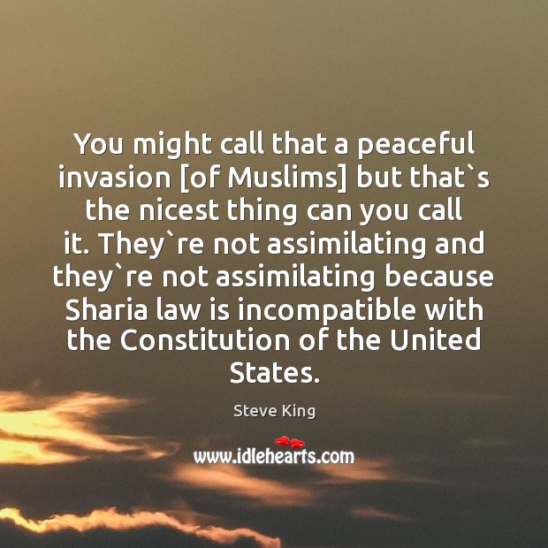 You might call that a peaceful invasion [of Muslims] but that`s Steve King Picture Quote