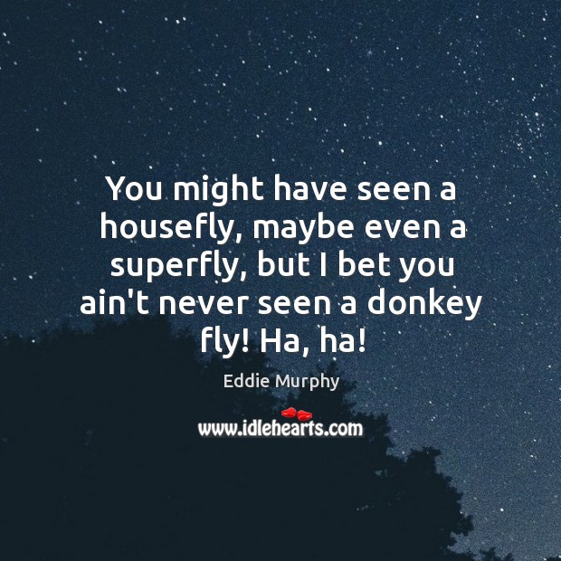 You might have seen a housefly, maybe even a superfly, but I Image