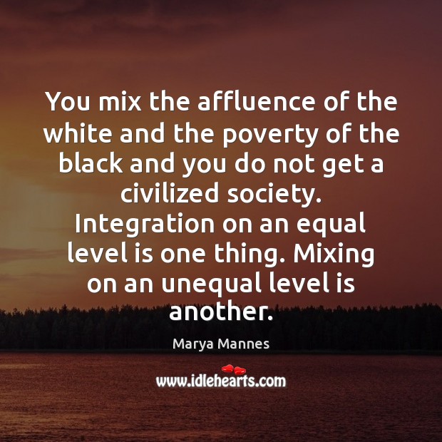 You mix the affluence of the white and the poverty of the Marya Mannes Picture Quote