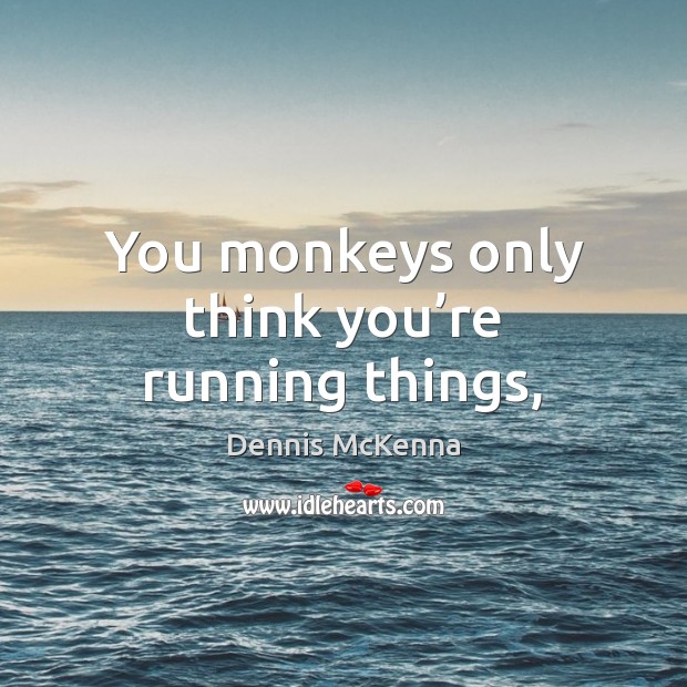 You monkeys only think you’re running things, Dennis McKenna Picture Quote