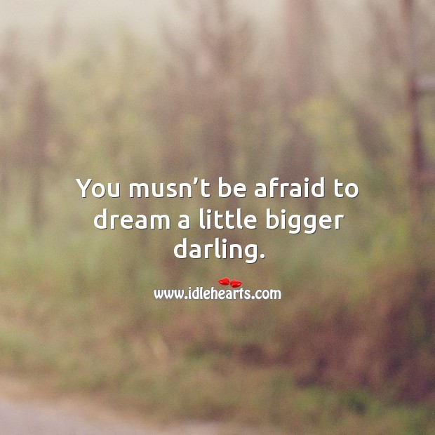You musn’t be afraid to dream a little bigger darling. Afraid Quotes Image