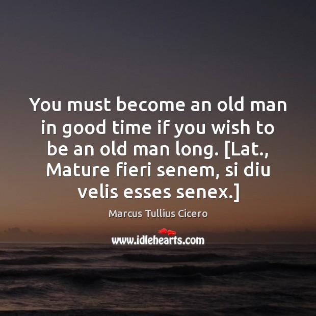 You must become an old man in good time if you wish Marcus Tullius Cicero Picture Quote