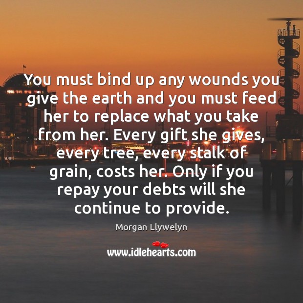 You must bind up any wounds you give the earth and you Morgan Llywelyn Picture Quote