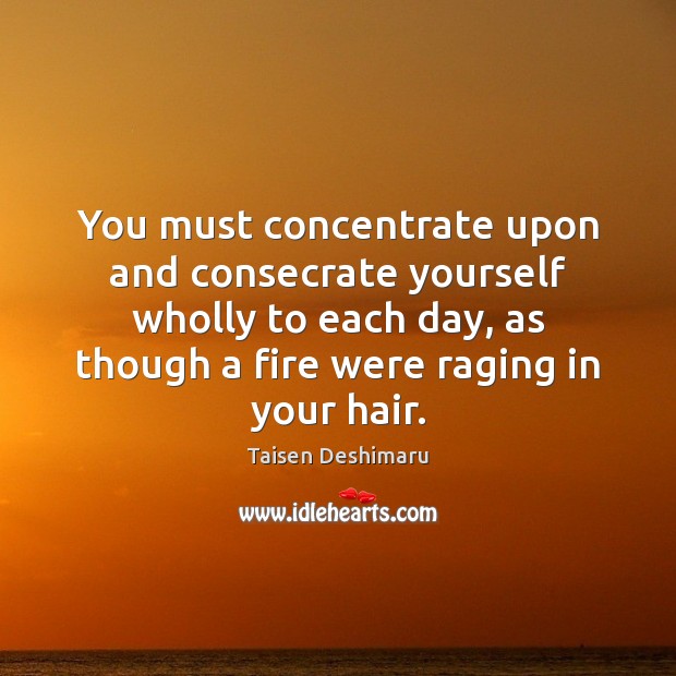 You must concentrate upon and consecrate yourself wholly to each day, as Taisen Deshimaru Picture Quote