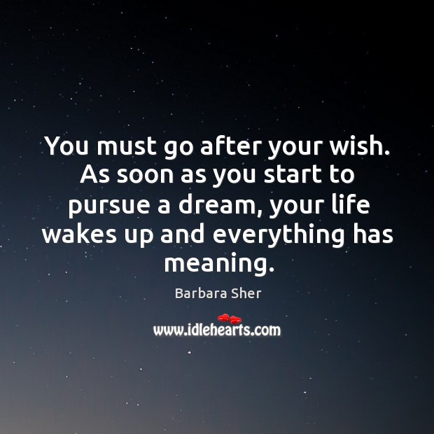 You must go after your wish. As soon as you start to pursue a dream Barbara Sher Picture Quote