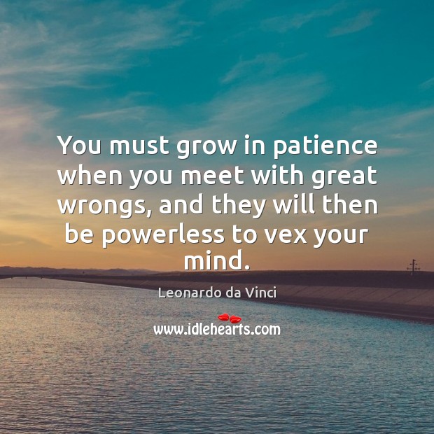 You must grow in patience when you meet with great wrongs, and Leonardo da Vinci Picture Quote