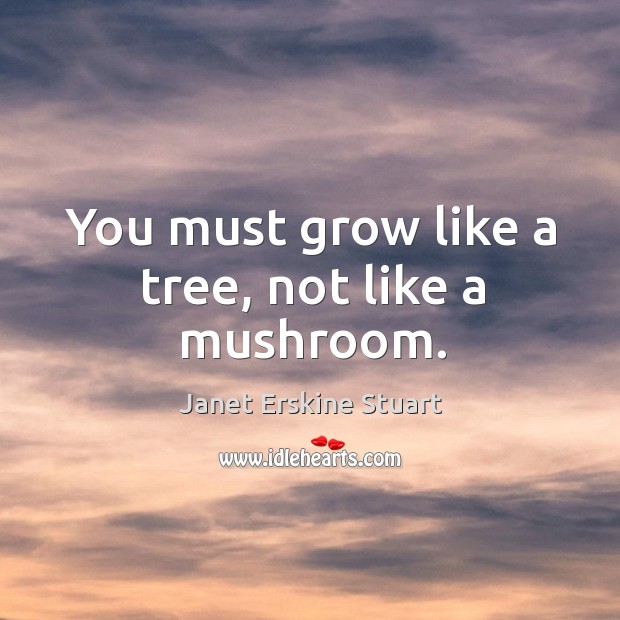 You must grow like a tree, not like a mushroom. Janet Erskine Stuart Picture Quote