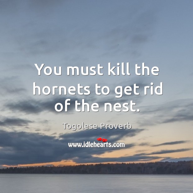 You must kill the hornets to get rid of the nest. Togolese Proverbs Image