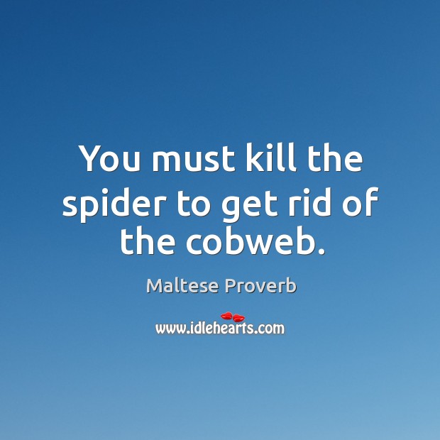 You must kill the spider to get rid of the cobweb. Maltese Proverbs Image