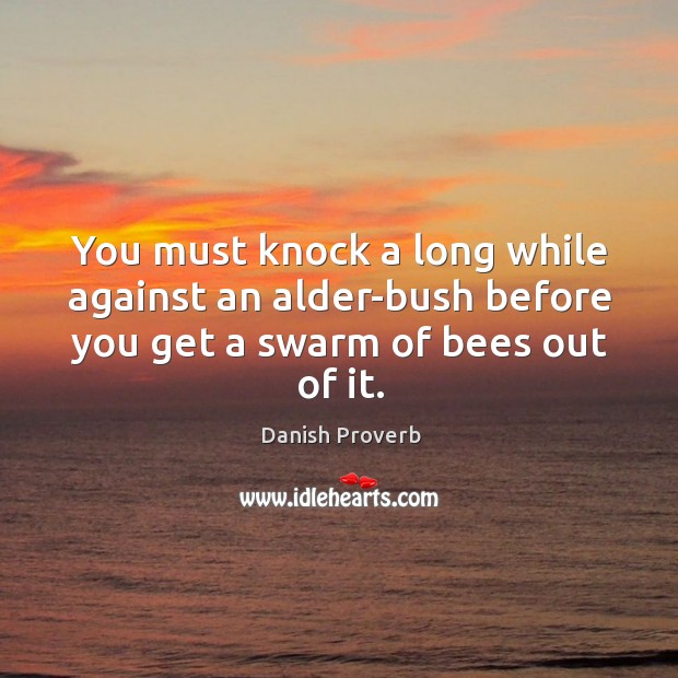 You must knock a long while against an alder-bush before you get a swarm of bees out of it. Danish Proverbs Image