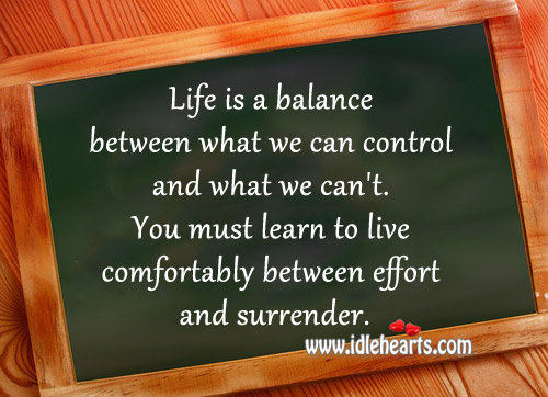 Life is a balance between what we can control and what we can’t. Image