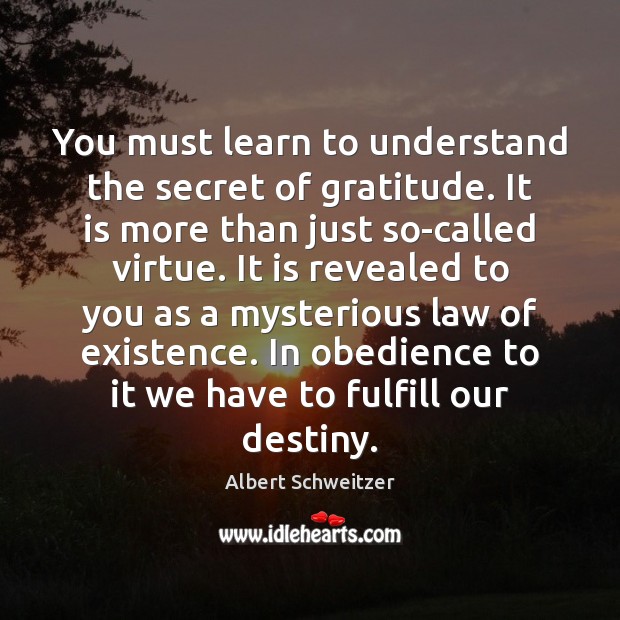 You must learn to understand the secret of gratitude. It is more Albert Schweitzer Picture Quote