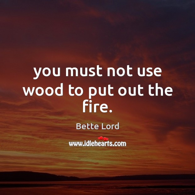 You must not use wood to put out the fire. Bette Lord Picture Quote