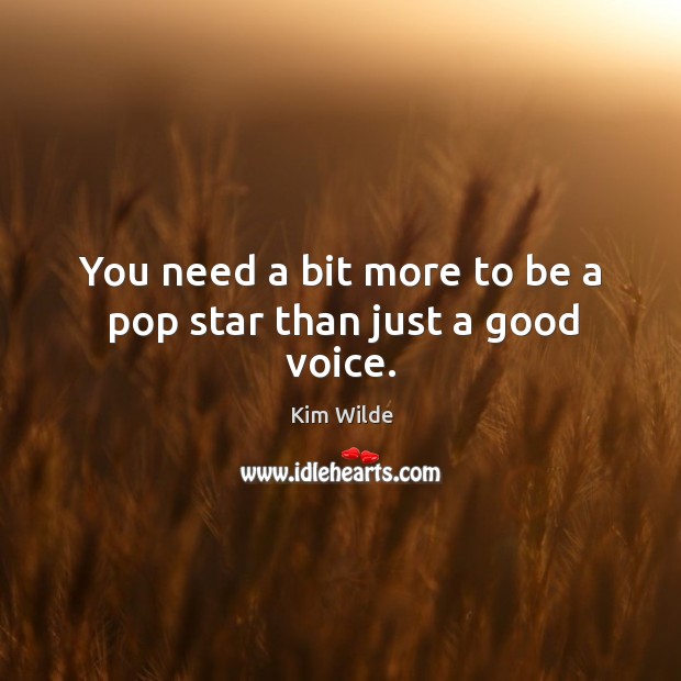 You need a bit more to be a pop star than just a good voice. Kim Wilde Picture Quote