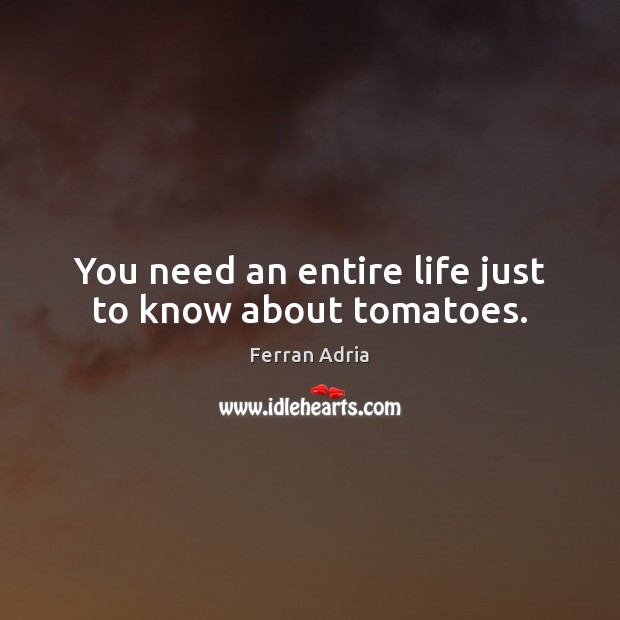 You need an entire life just to know about tomatoes. 