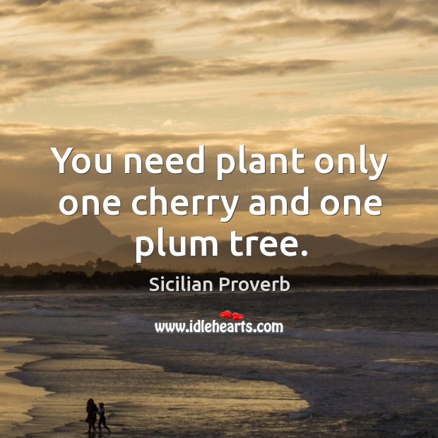 You need plant only one cherry and one plum tree. Sicilian Proverbs Image