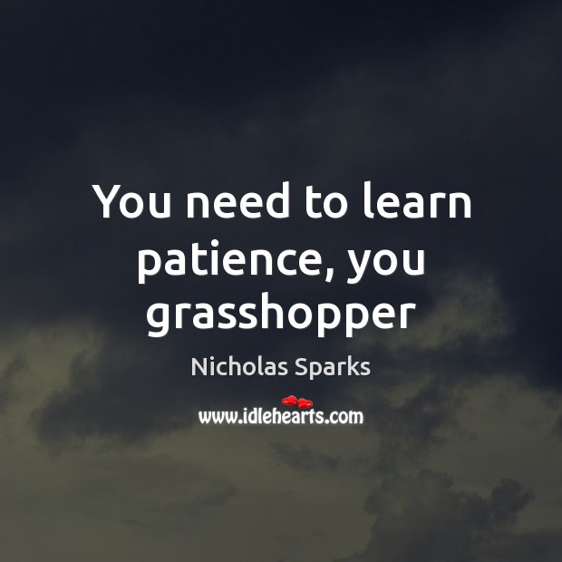 You need to learn patience, you grasshopper Nicholas Sparks Picture Quote