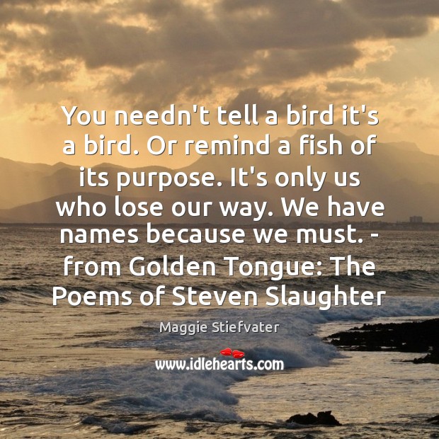 You needn’t tell a bird it’s a bird. Or remind a fish Maggie Stiefvater Picture Quote