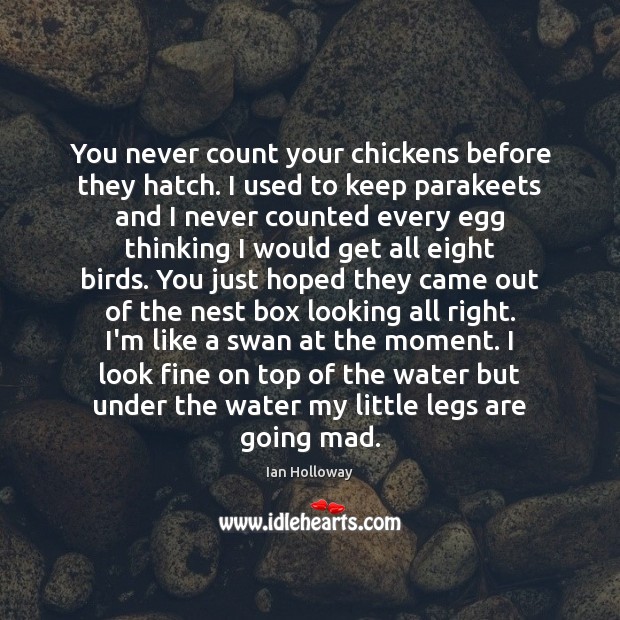 You never count your chickens before they hatch. I used to keep Image