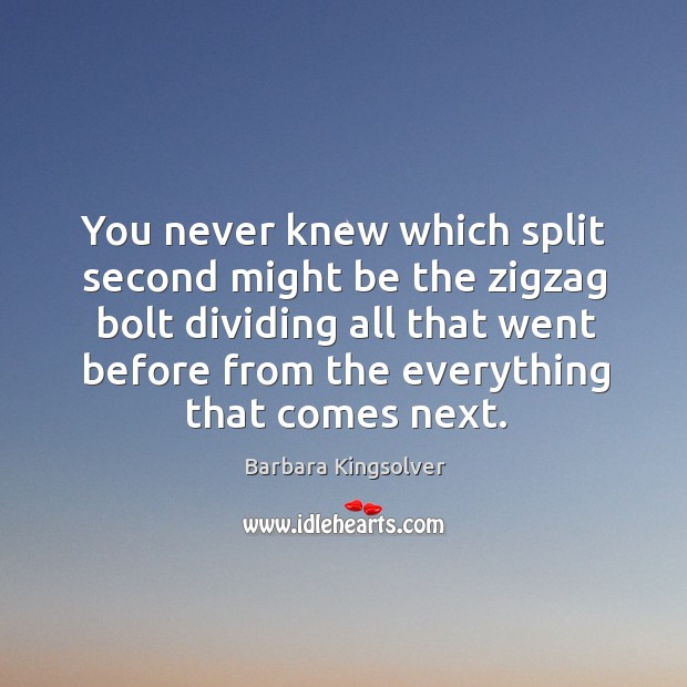 You never knew which split second might be the zigzag bolt dividing Barbara Kingsolver Picture Quote