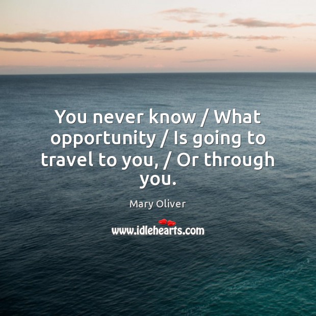You never know / What opportunity / Is going to travel to you, / Or through you. Mary Oliver Picture Quote