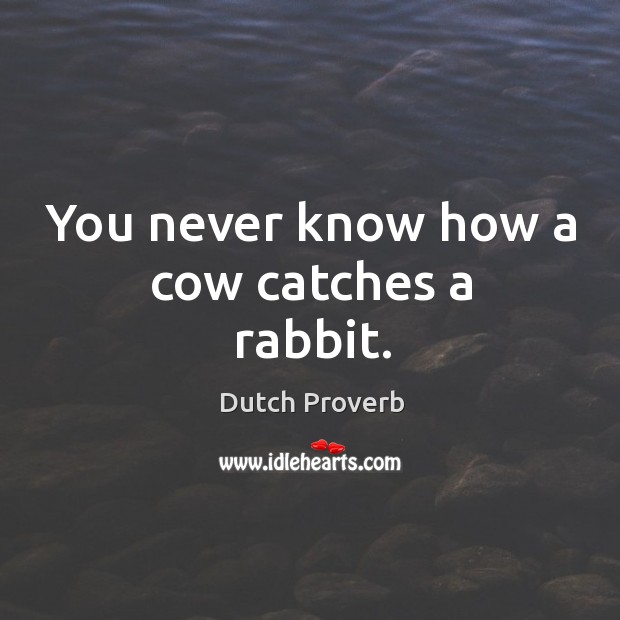 You never know how a cow catches a rabbit. Image