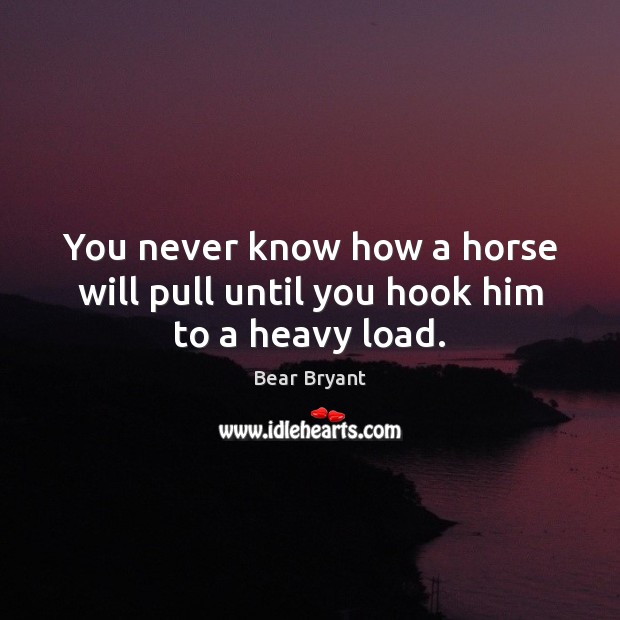 You never know how a horse will pull until you hook him to a heavy load. Bear Bryant Picture Quote