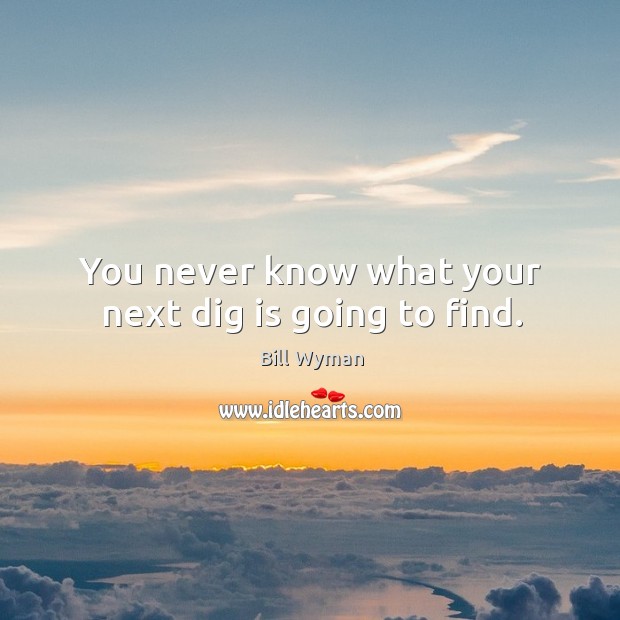 You never know what your next dig is going to find. Bill Wyman Picture Quote