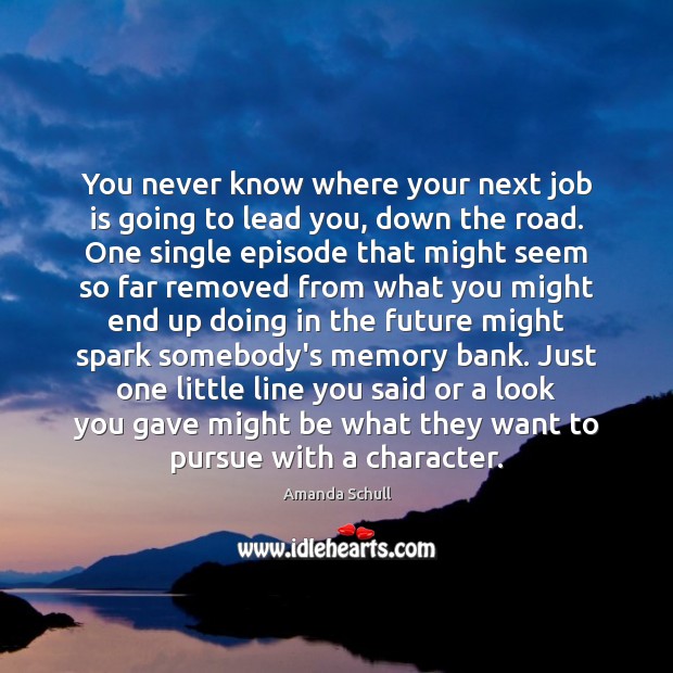 You never know where your next job is going to lead you, Amanda Schull Picture Quote