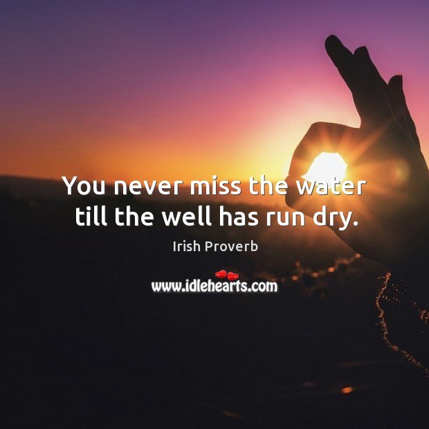 You never miss the water till the well has run dry. Irish Proverbs Image