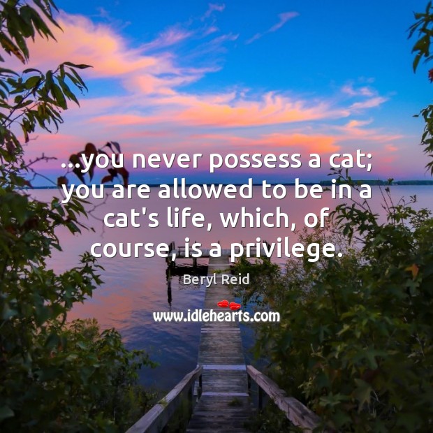 …you never possess a cat; you are allowed to be in a Image