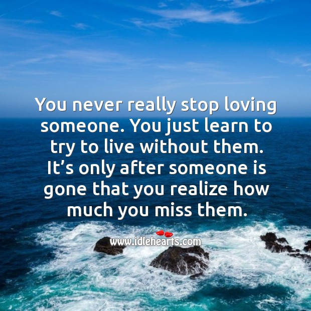You never really stop loving, you learn to live without them. Image