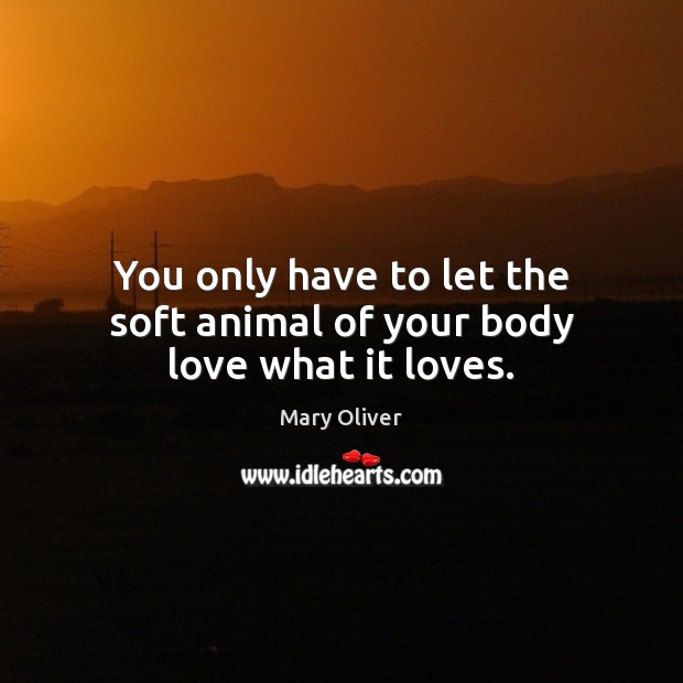 You only have to let the soft animal of your body love what it loves. Image