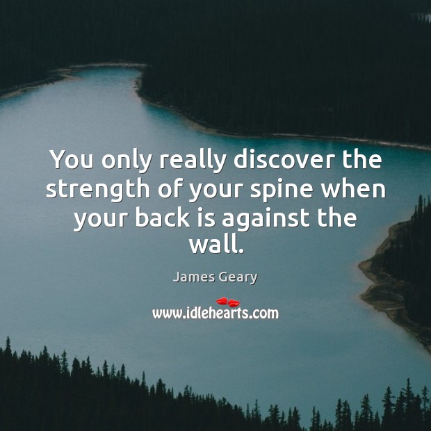 You only really discover the strength of your spine when your back is against the wall. James Geary Picture Quote