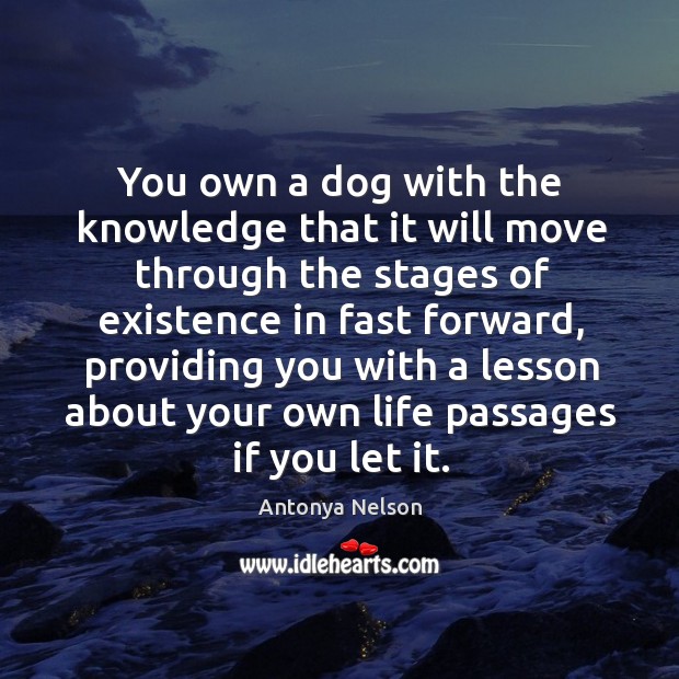 You own a dog with the knowledge that it will move through Antonya Nelson Picture Quote